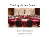 The Legislative Branch
